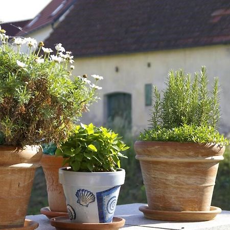 Ferienwohnung Sachsenberg Keine Monteure Hadersdorf am Kamp Exterior foto